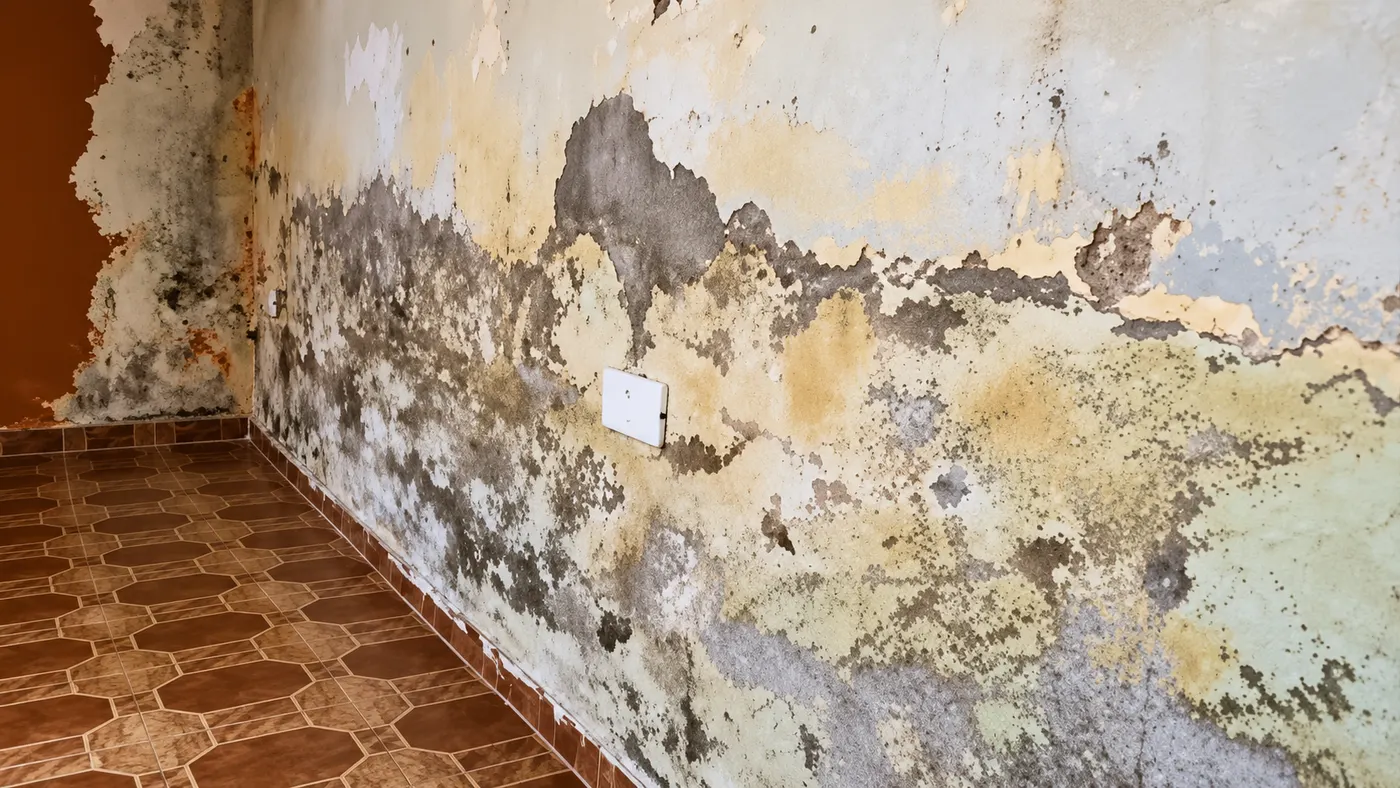Parede de cômodo com mofo, manchas de umidade e tinta descascando, junto ao piso de cerâmica.
